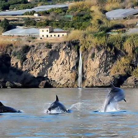 Casa Delfin * Maro