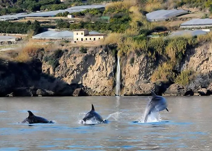 Casa Delfin * Maro